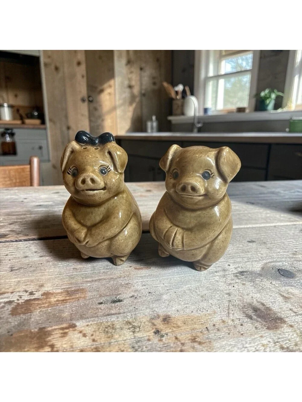Ceramic Pig Salt & Pepper Shaker3